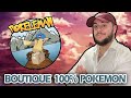 Ouverture de ma boutique 100 pokemon 