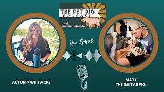 The Pet Pig Podcast:  Exclusive Interview with Matt @TheGuitarPig by Autumn Acres Mini Pet Pigs 68 views 4 months ago 1 hour