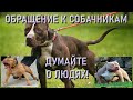 Обращение к собачникам! (11.01.24)