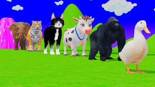 Long Slide Game with Tigers Lion Cow Hippopotamus Gorilla 3d Animal Game Funny 3d Animals
