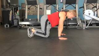 Quadruped Hip Extension