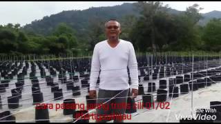 cilichannel: tips pasang jaring trelis feetigasi 1/2 cilichannel: tips pasang jaring trelis feetigasi 1/2