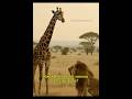 Лев ЗЛИТСЯ - #нейросеть #ai #юмор #ии #мем #funny #song #funnyshorts #смешныеживотные #viral #лев