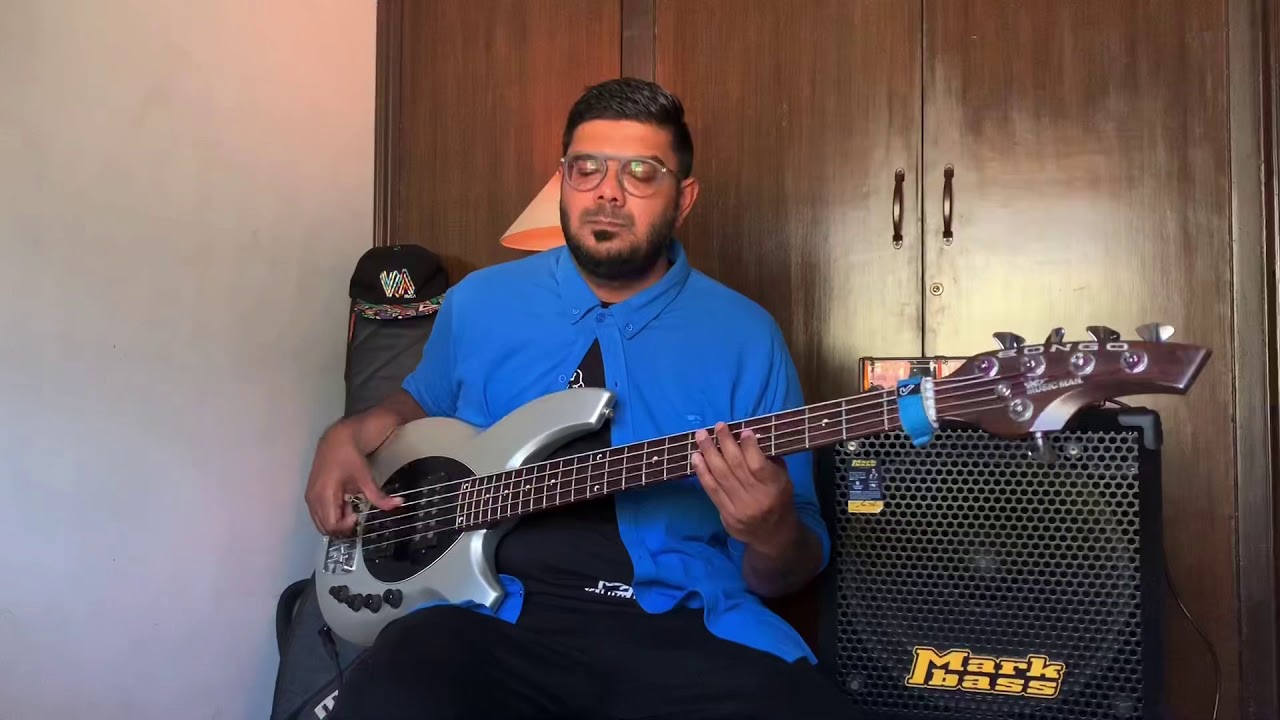 Justin Bieber - Yummy ( Bass Cover )