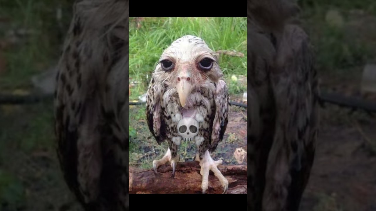 I was lightnin before the thunda 😭 