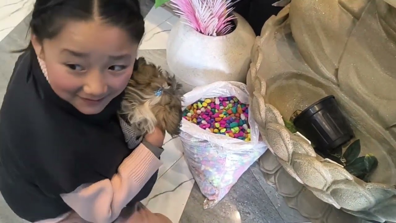 Short glimpse of another day in my life 😊 