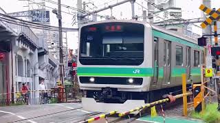 JR東日本常磐線E231系0番台東マト102編成＋東マト122編成快速上野行き金杉踏切通過