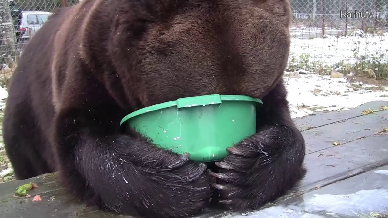 JUUSO juusto on kypsymässä. Best cheese is coming.