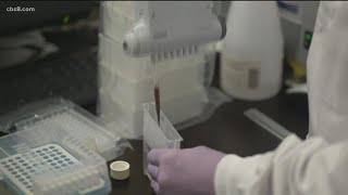 UC San Diego scientists test sewage of COVID cases for Omicron variant