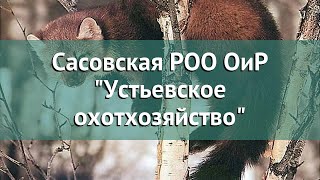 Охота в Рязанской области – Сасовская РОО ОиР 