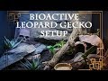 Bioactive LEOPARD GECKO setup!