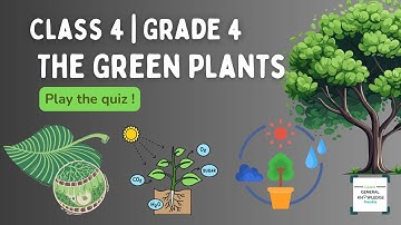 Class 4 Science Quiz - The Green Plants - Grade 4 CBSE NCERT Syllabus worksheets olympiad