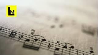 Apa Yang Kau Cari ––– NAFF