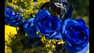 Blue Rose Is By Pam Tillis