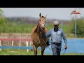 LOTE 22 BETINA ROJO RFX