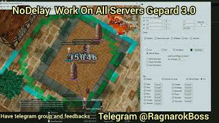 Ragnarok NDL / NoDelay + have VPN + HWID Changer + Autopots + Multi-client + BOT