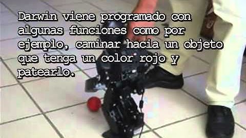 Robot Darwin