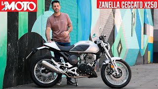 Zanella Ceccato X250 - Test Ride by La Moto 19,837 views 1 year ago 11 minutes, 33 seconds