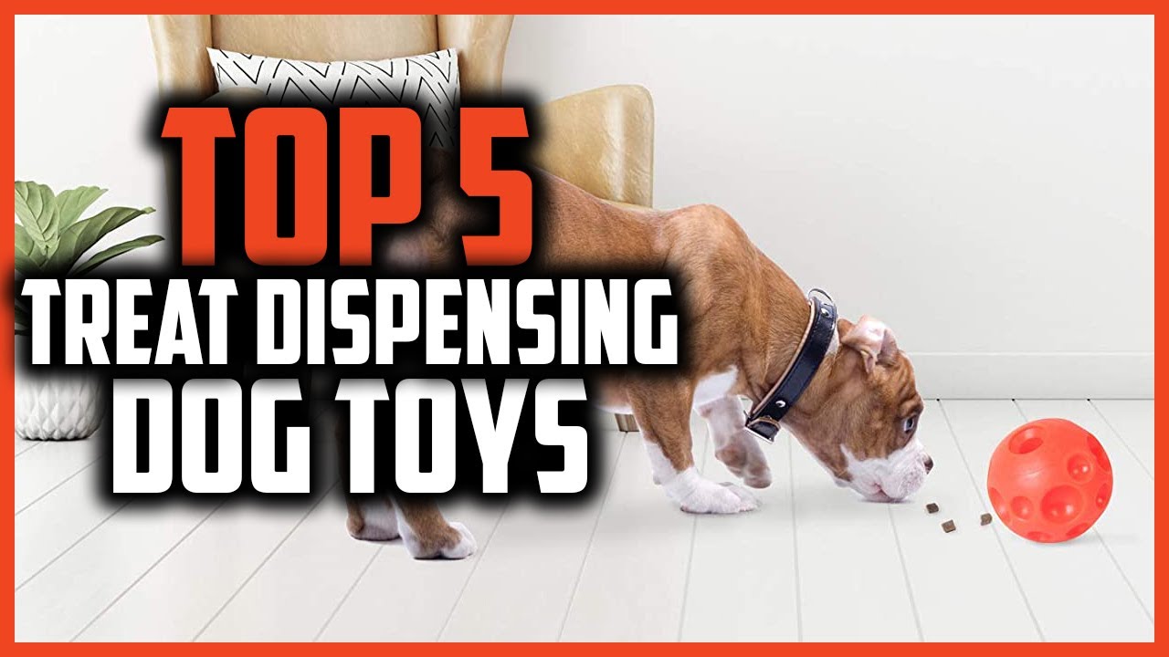 The 8 Best Treat Dispenser Toys for Dogs