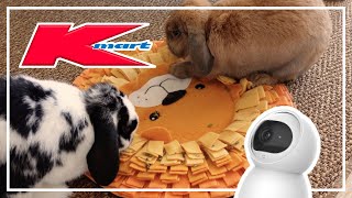 7 Best Kmart Buys For Bunny Owners by Bun's Best Life 2,664 views 1 year ago 5 minutes, 39 seconds