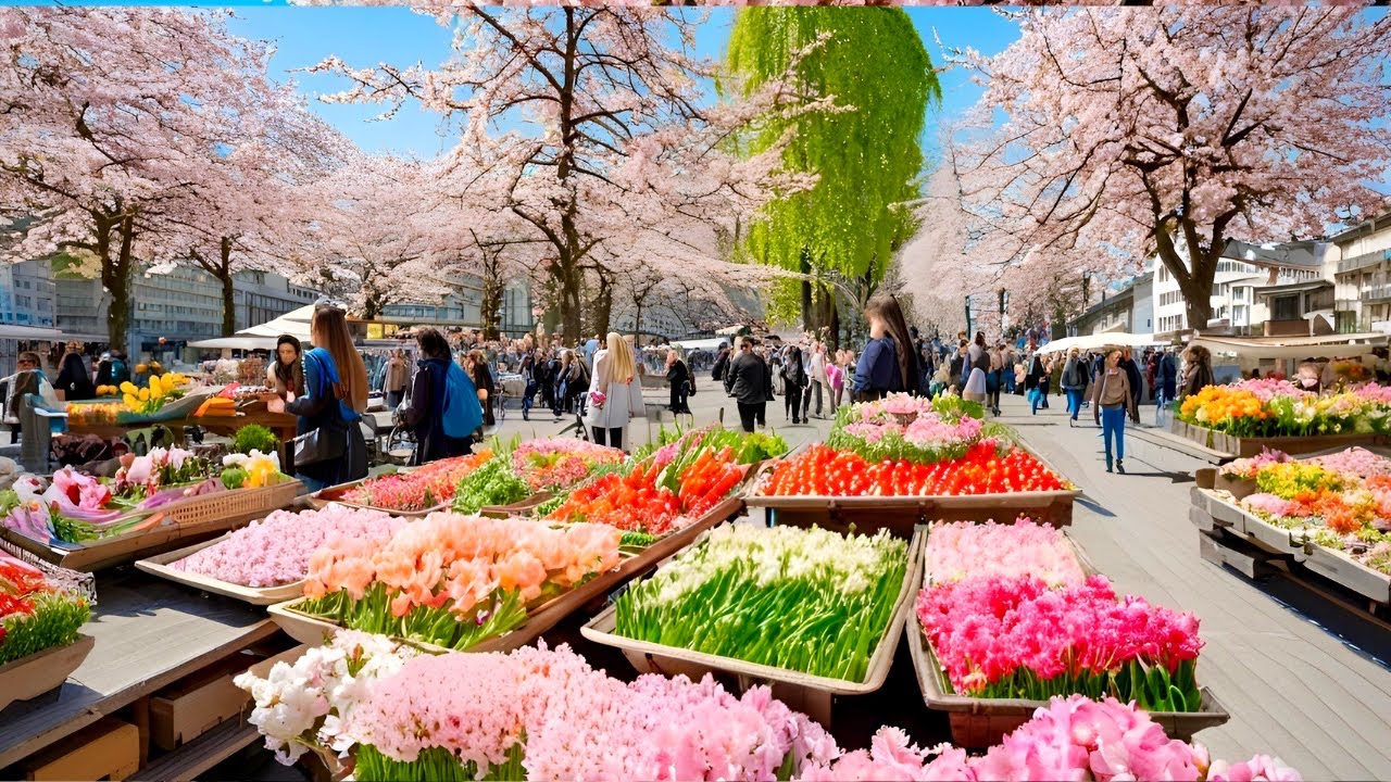 В ЦЮРИХЕ, ШВЕЙЦАРИЯ, ПРИШЛА ВЕСНА_ ВПЕЧАТЛЯЮЩИЙ УТРЕННИЙ РЫНОК🇨🇭