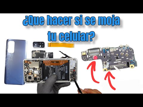 ¿QUE DEBES HACER SI SE MOJA TU CELULAR? EJEMPLO: Xiaomi Mi 10T. - YouTube