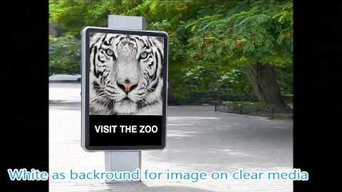 EFI Matan white printing