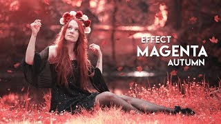 Magenta Autumn Soft Light Photo Effect | Photoshop CC 2019 screenshot 1