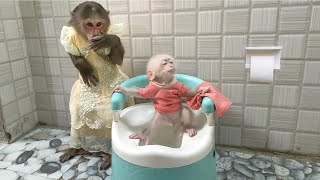 So funny and cute! MiMi teaches baby monkey Su go to toilet using a mini toilet