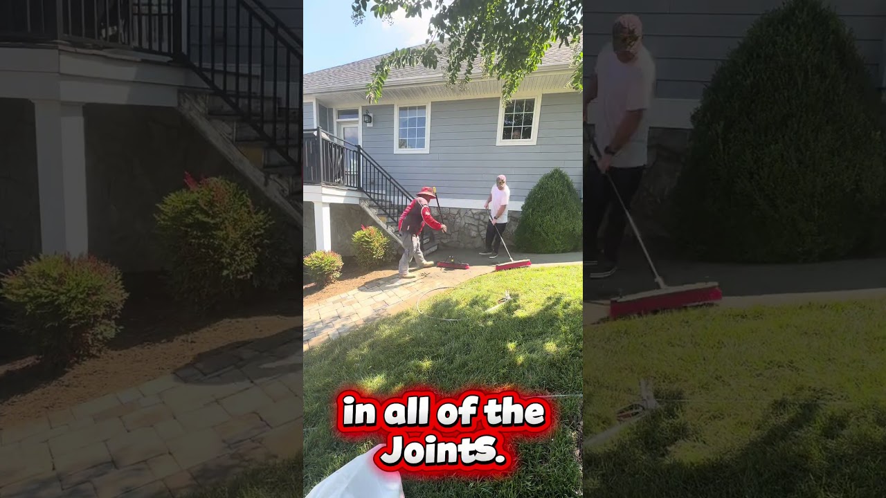Paver Restoration Transformation | New Joint Sand + Trident Cyclone Sealer &mdash; video thumbnail