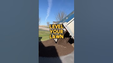 Fix your bumpy lawn 🌱 #diy #lawn #level #before #after