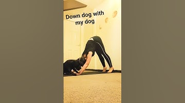 #onallfours #downdogstretch #usewallforsupport #focusonbreath #inhalethroughnose #exhale