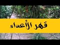 قهر الأعداء المعركة الصامتة التي لا يخسرها الأقوياء أسرار التفوق بلا صخب قهر الأعداء المعركة الصامتة التي لا يخسرها الأقوياء أسرار التفوق بلا صخب