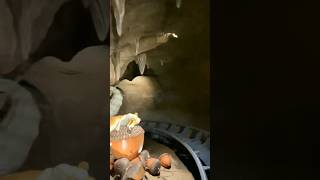 Ice Age Scrat Hugging His Acorn