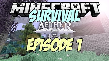 Aether Survival | Episode 1 - THUG LIFE BABY MOA!