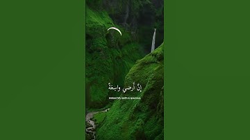 احترم القرآن الكريم #explore #اكسبلور #قران_كريم #راحة_نفسية #قرآن #حالات_واتس #ترند #تيك_توك