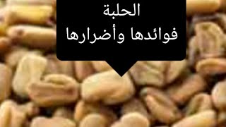 فوائد الحلبة المذهلة للجسم.