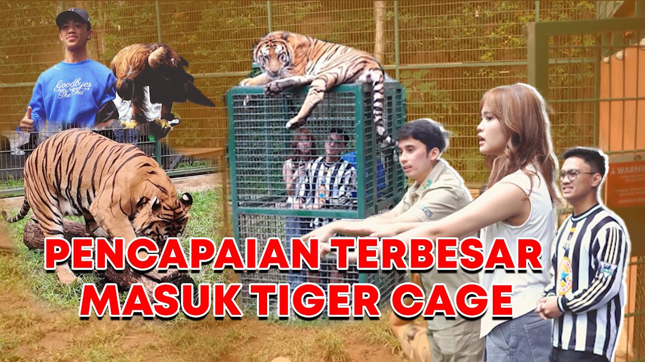 STORY OF ADEL - AKHIRNYAA MEGANG ITUNYA HARIMAUUUU (EPS. 9) Part 2