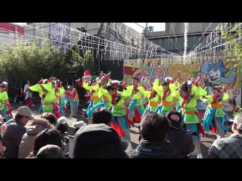 乱気流＠湘南ひらつかスターライトフェスティバル2016 1ｓｔ演舞