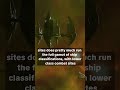 Wormhole ratting is very different to known space  #gaming #eveonline #scifi