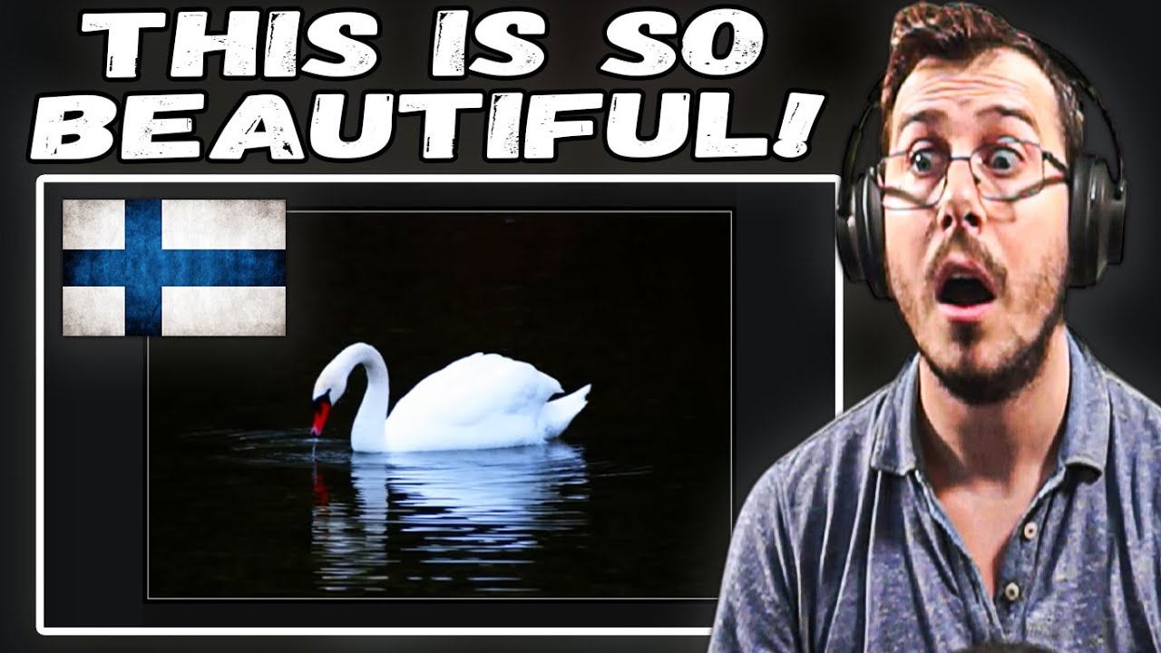 Итальянская реакция на ночь — лебединая песня