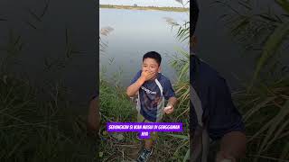 anak kecil membuang hanpon kesayangan