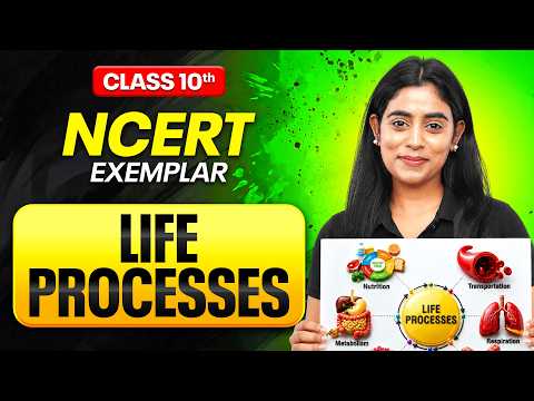 LIFE PROCESSES Complete Revision | NCERT Exemplar | Class 10th