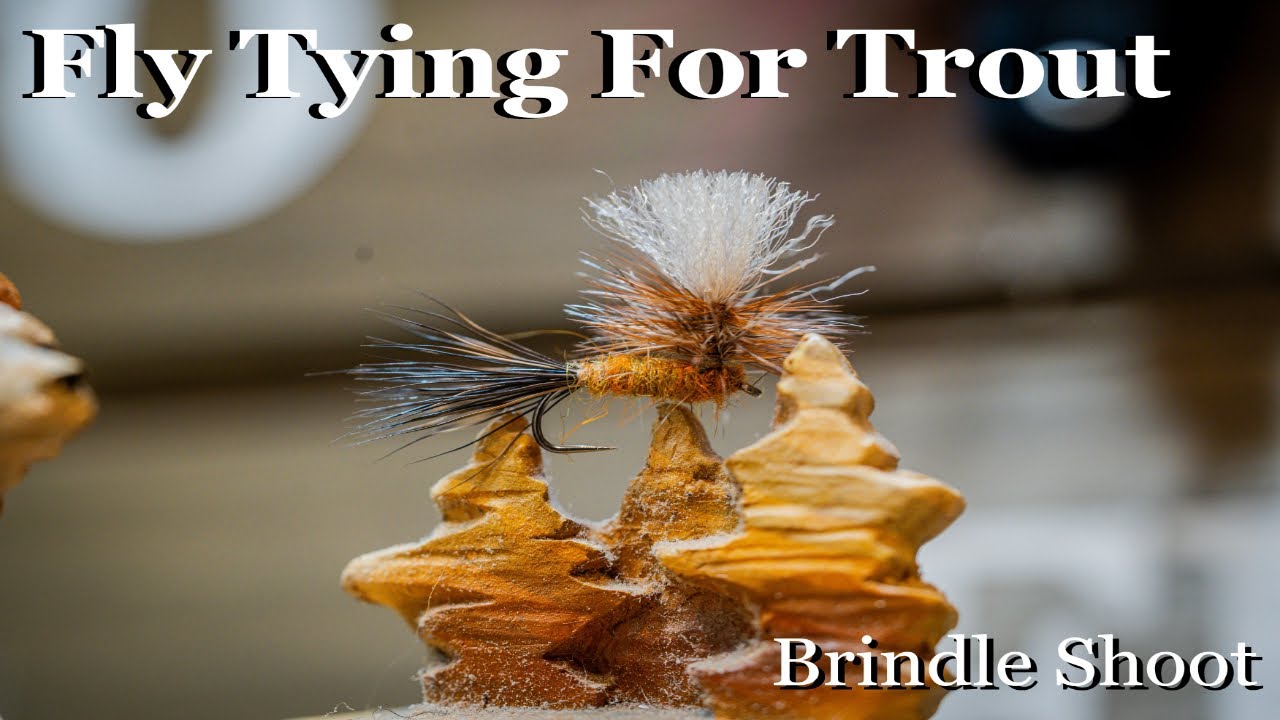 Fly Tying for Trout Tying the Brindle Shoot YouTube