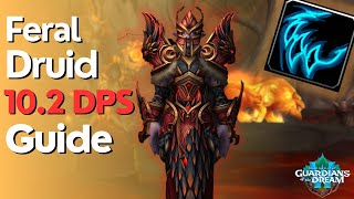 Feral Druid 10.2 Beginner Guide for Raid & M+