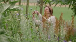 Visite du jardin de Juliette Taverniers, lauréate 2016 du concours Jardiner Autrement