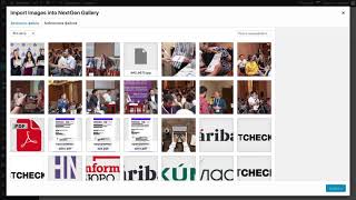 Creating Gallery NextGEN plugin 1