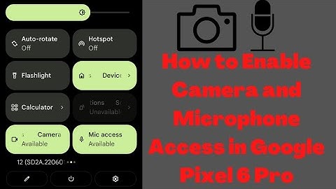 How to Enable Camera and Microphone Access in Google Pixel 6 Pro/Pixel 6 - Allow Camera and Mic