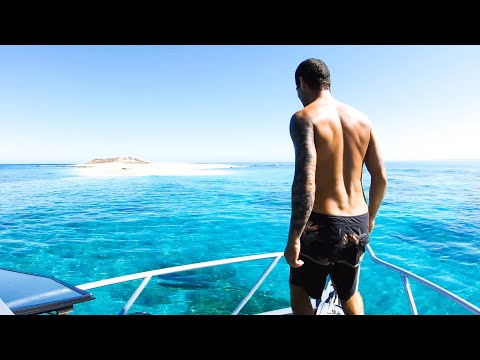 SOLO REMOTE ISLAND BOAT TRIP Living From The Ocean (Fishing Lure Challenge) - Ep 176