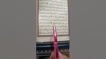تعليم سورة التوبة الآية 117